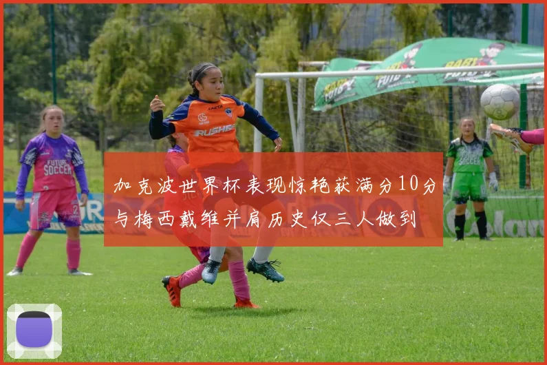 加克波世界杯表现惊艳获满分10分与梅西戴维并肩历史仅三人做到